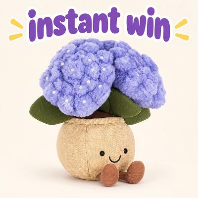 Hydrangea