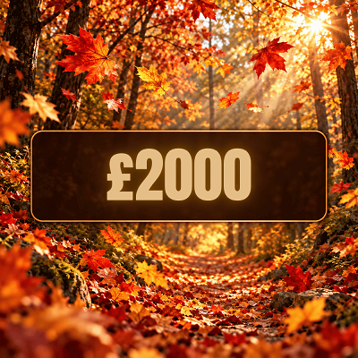 🍂 GOLDEN WINDFALL - £2000