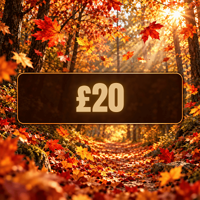 🍂 CRISP TWENTY - £20