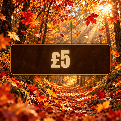 🌰 ACORN FIVER - £5